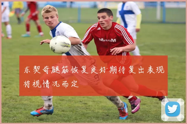 东契奇腿筋恢复良好期待复出表现将视情况而定